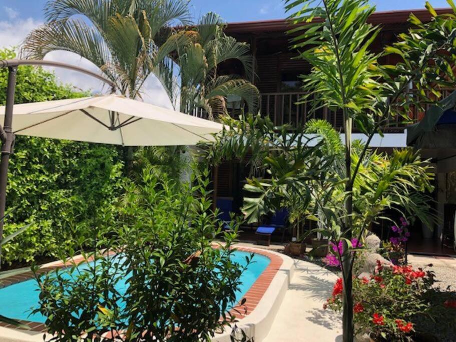 Casa Toucan Mit Privat Pool Near Np Ballena 乌维塔 外观 照片