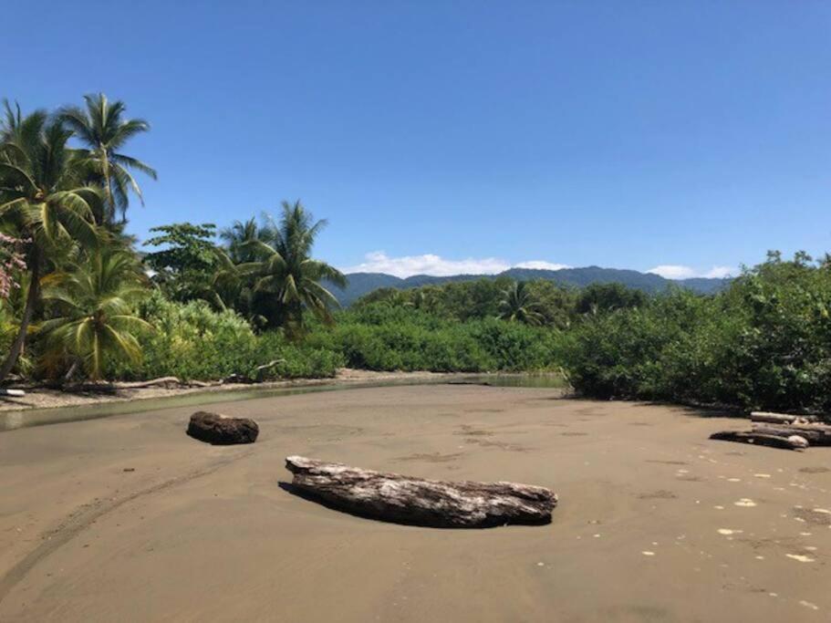 Casa Toucan Mit Privat Pool Near Np Ballena 乌维塔 外观 照片
