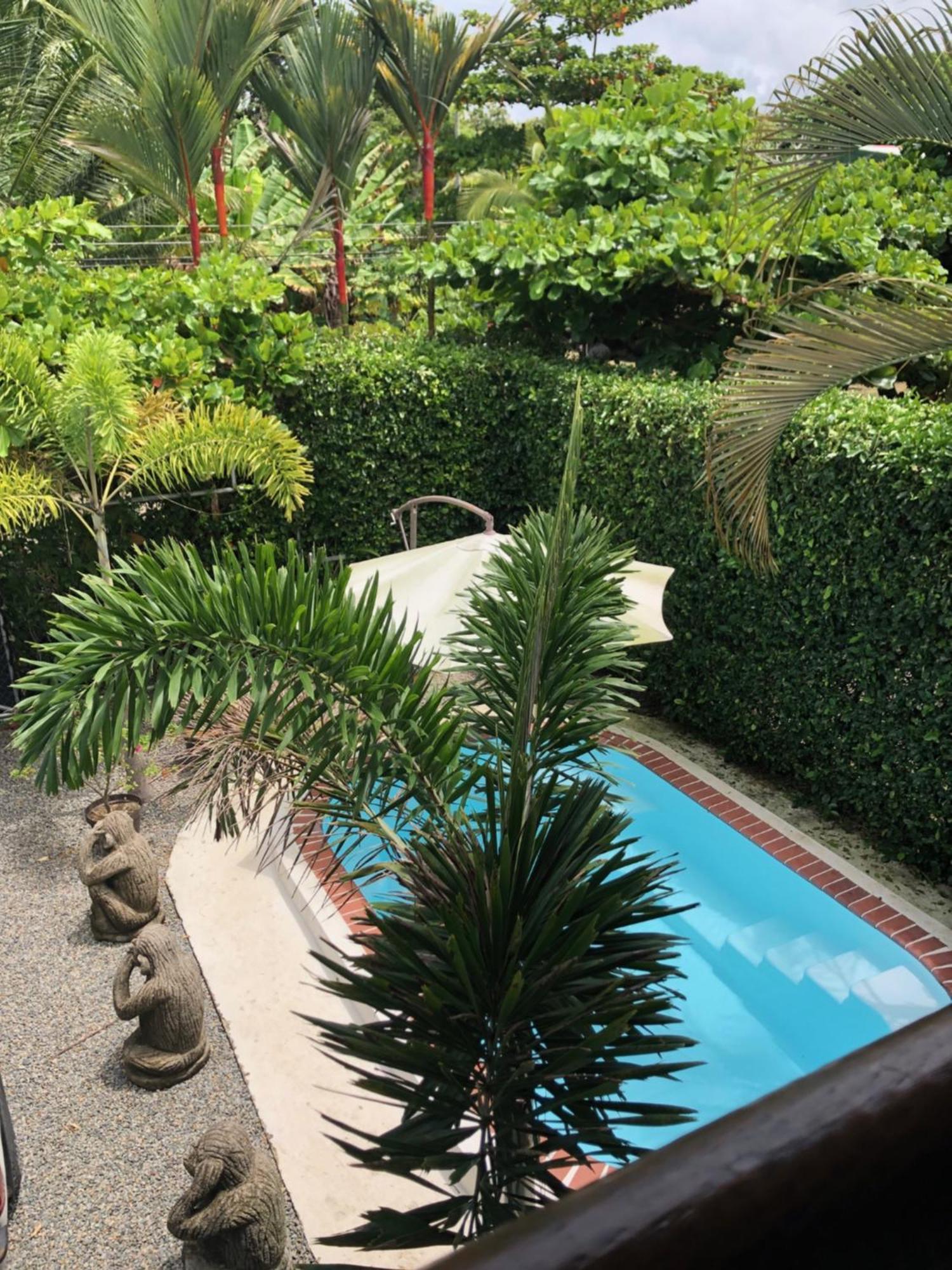 Casa Toucan Mit Privat Pool Near Np Ballena 乌维塔 外观 照片