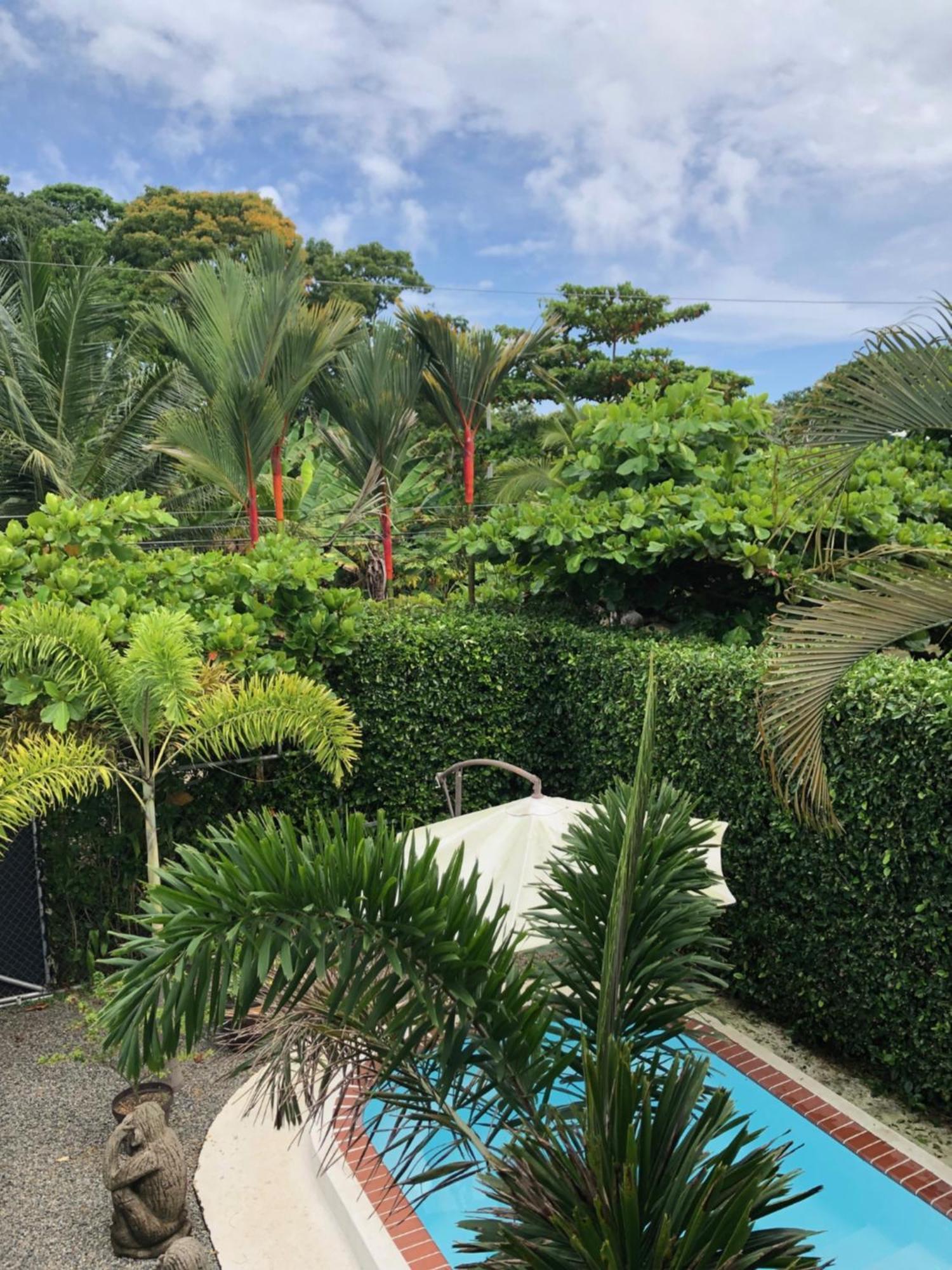 Casa Toucan Mit Privat Pool Near Np Ballena 乌维塔 外观 照片